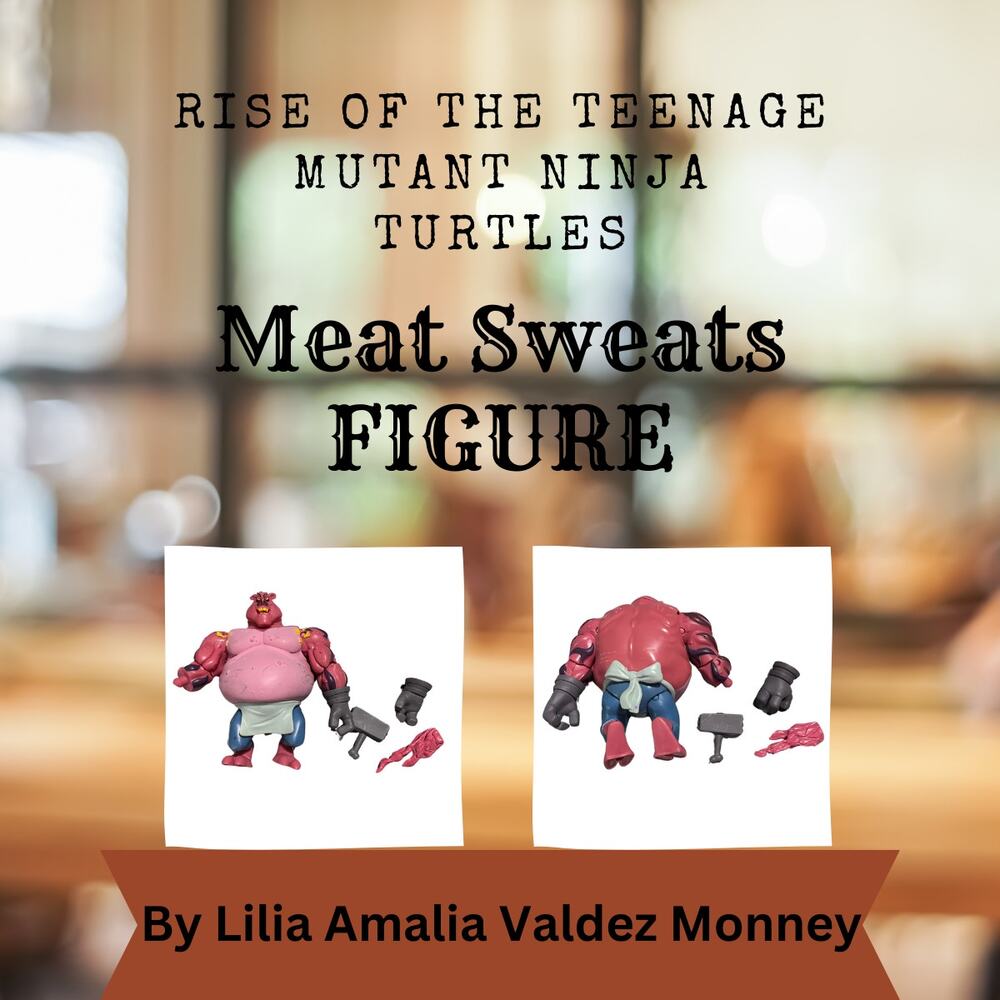 Rise Turtle Meat Sweats Action Figures